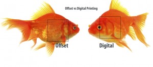 Print Offset
